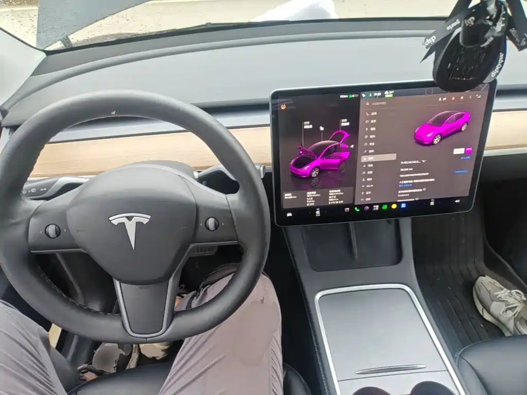 Tesla Model Y — миниатюра 10