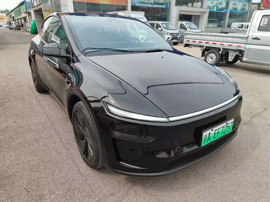 Tesla Model Y — миниатюра 3
