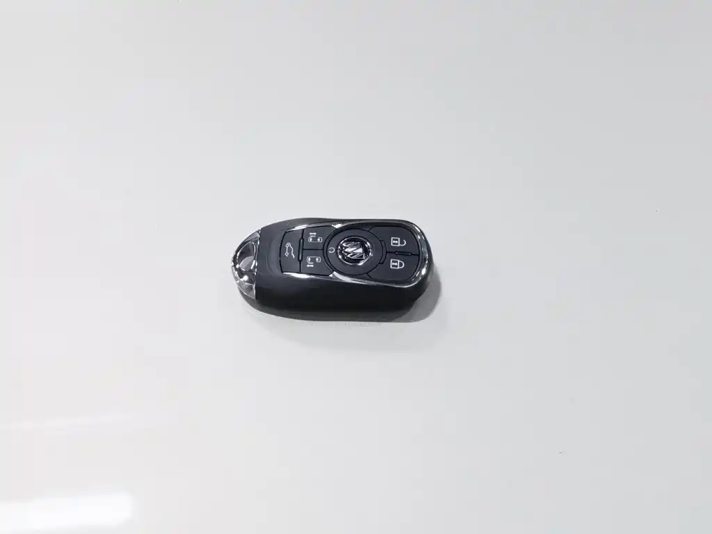 Buick GL8 — миниатюра 19