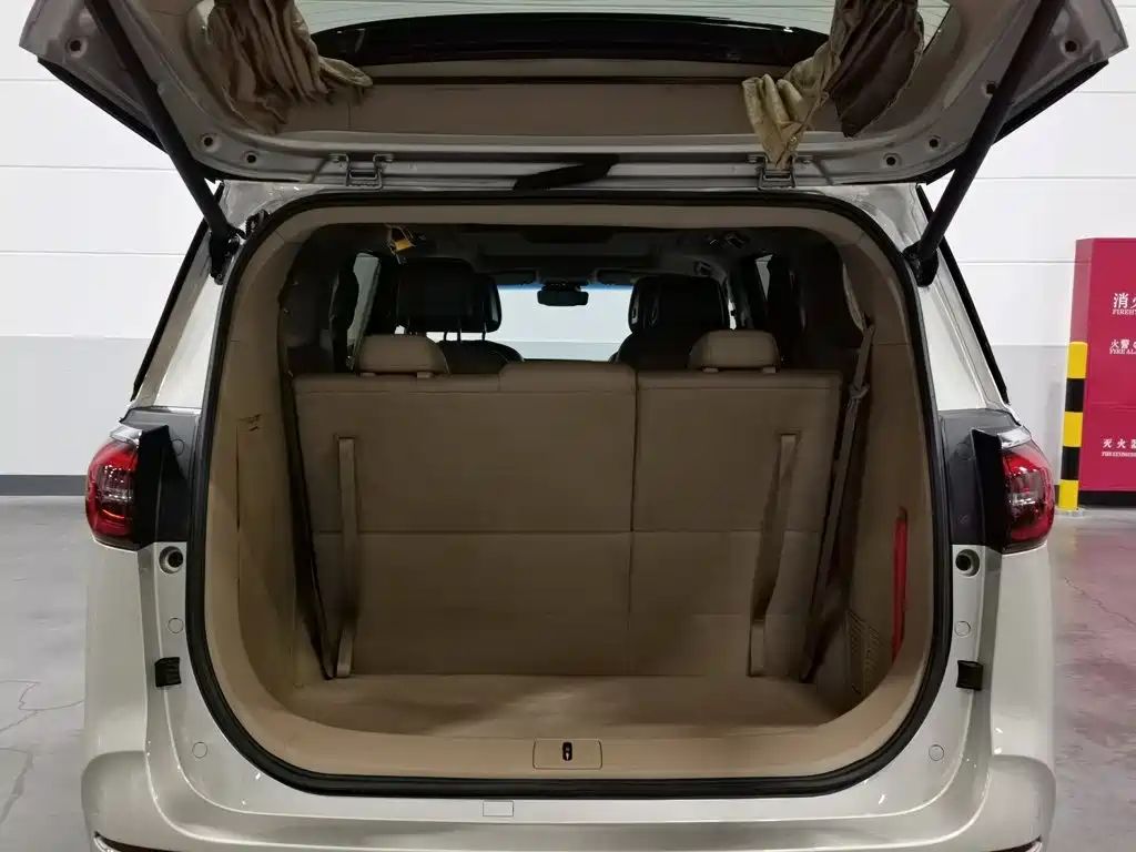 Buick GL8 — миниатюра 16