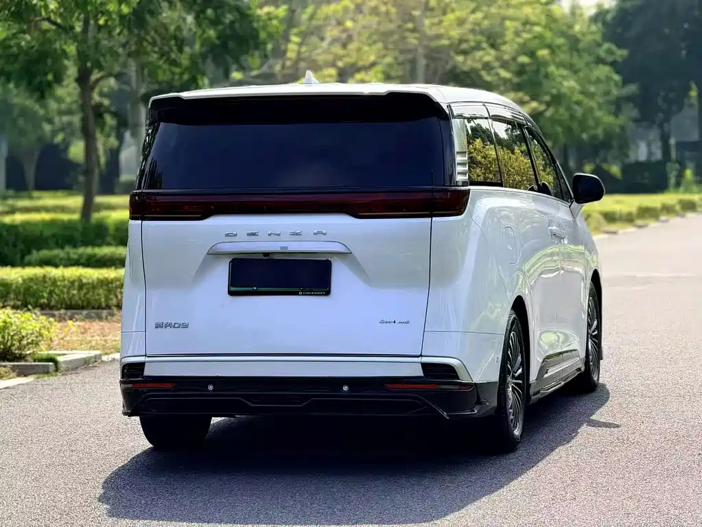 Denza Denza D9 — миниатюра 9