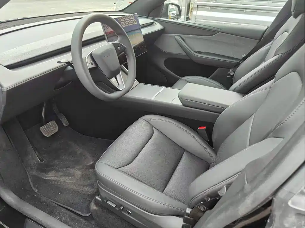 Tesla Model Y — миниатюра 4