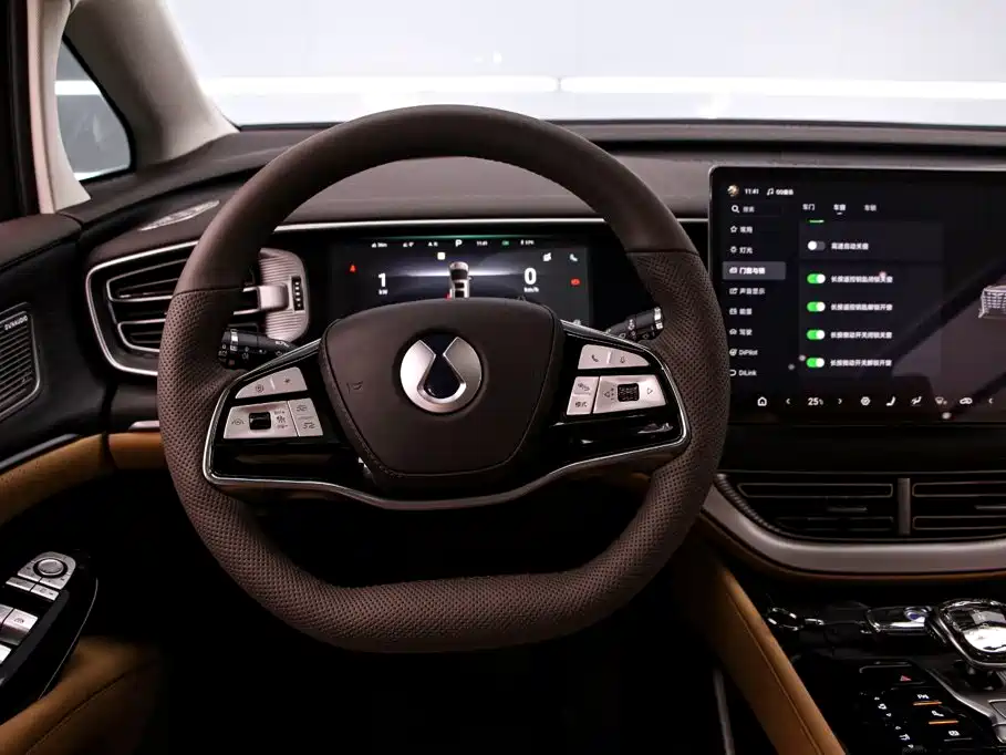 Denza Denza D9 — миниатюра 7