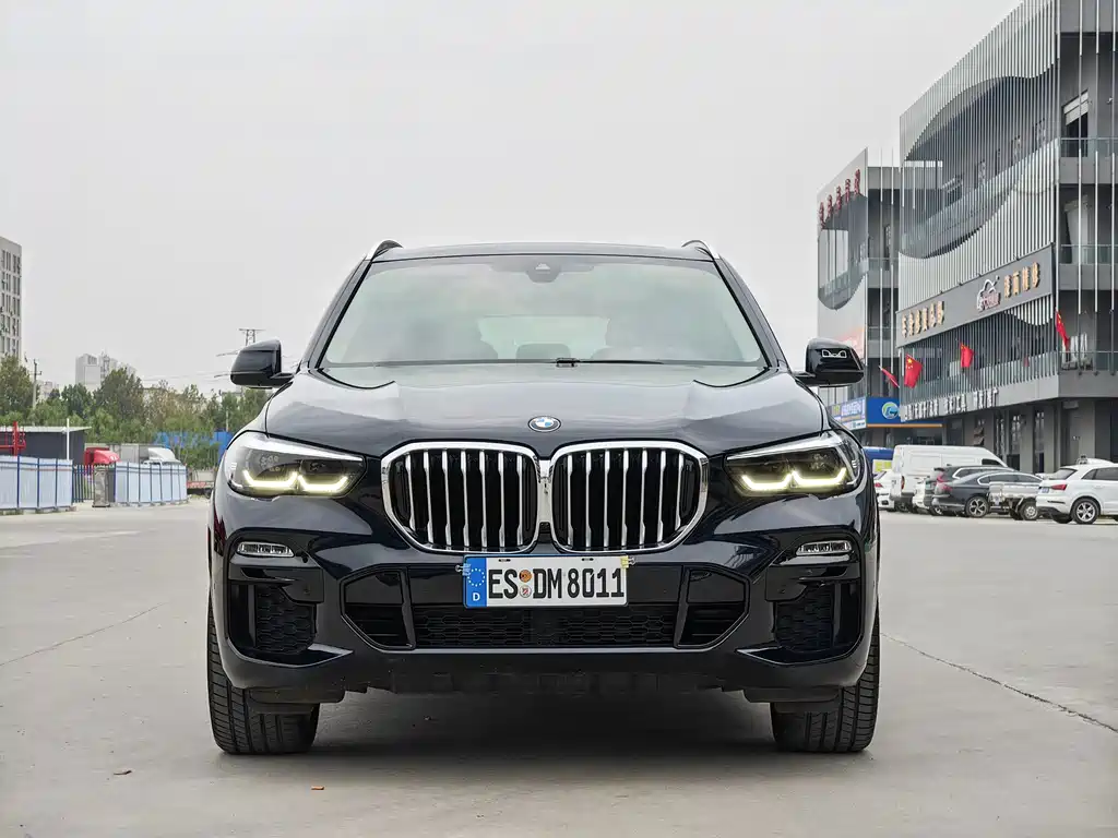 BMW X5 (Import) — миниатюра 2
