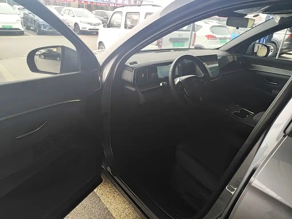 BYD Pro New Energy — миниатюра 16
