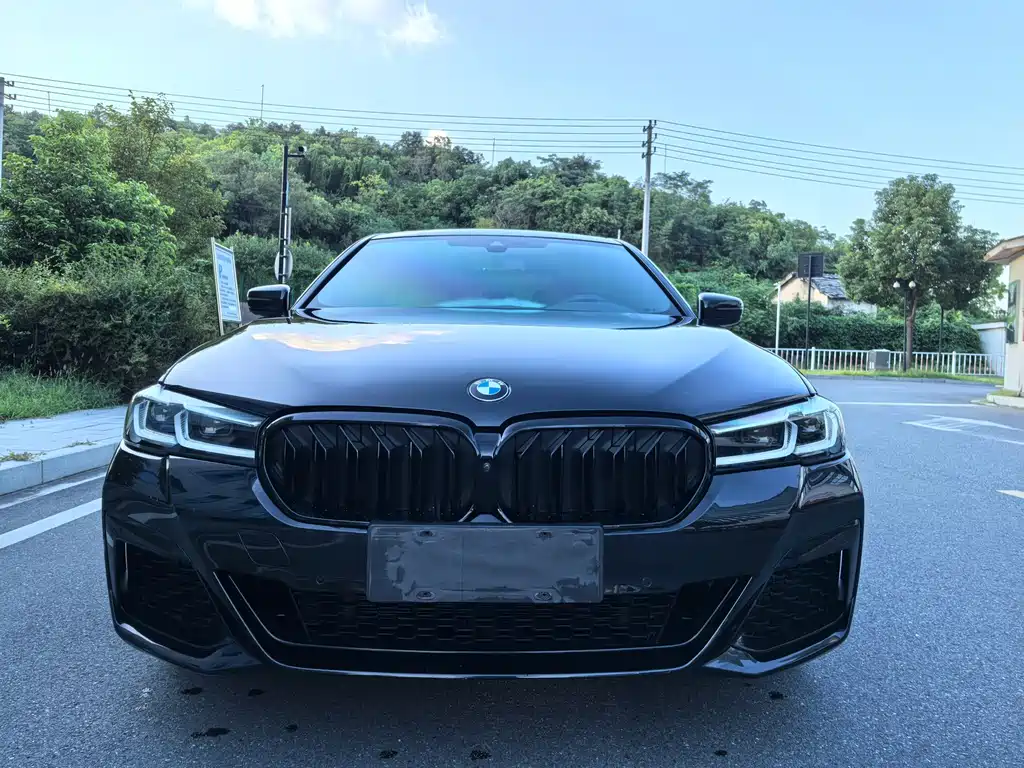 BMW 5 Series — миниатюра 2
