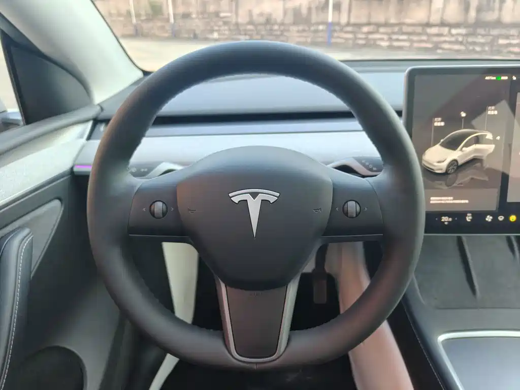 Tesla Model Y — миниатюра 13