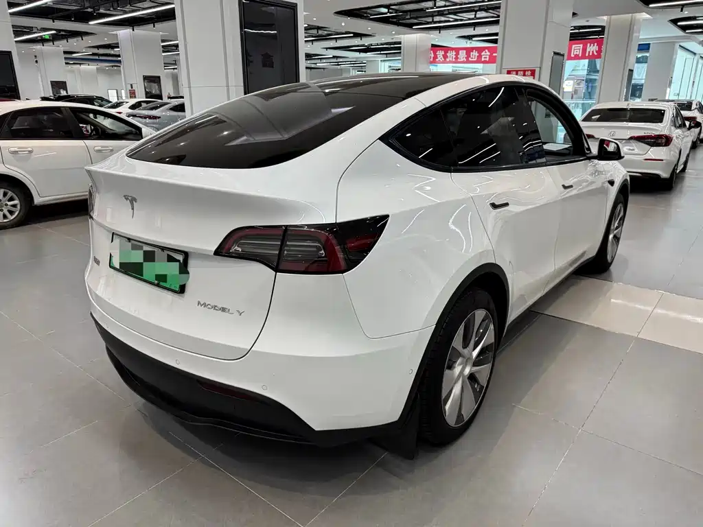 Tesla Model Y — миниатюра 6