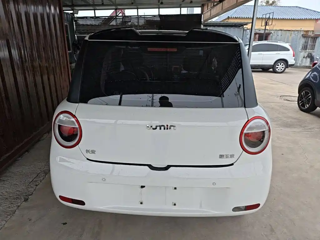 Qiyuan Lumin — миниатюра 6