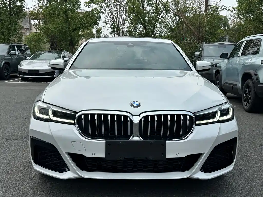 BMW 5 Series — миниатюра 2