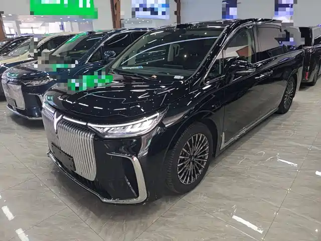 2025 Voyah Dream