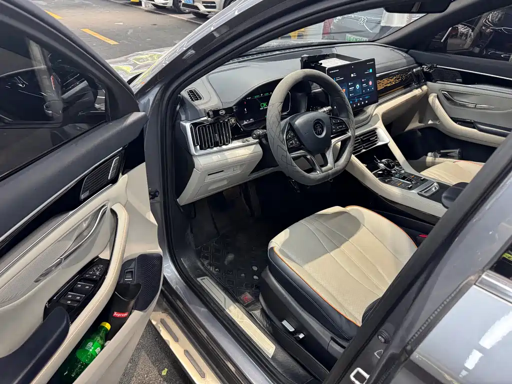 BYD PLUS New Energy — миниатюра 8