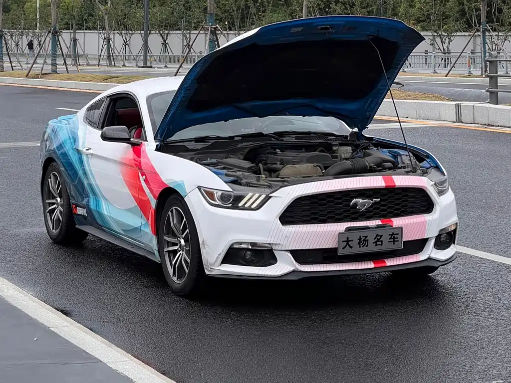 Ford Mustang — миниатюра 9