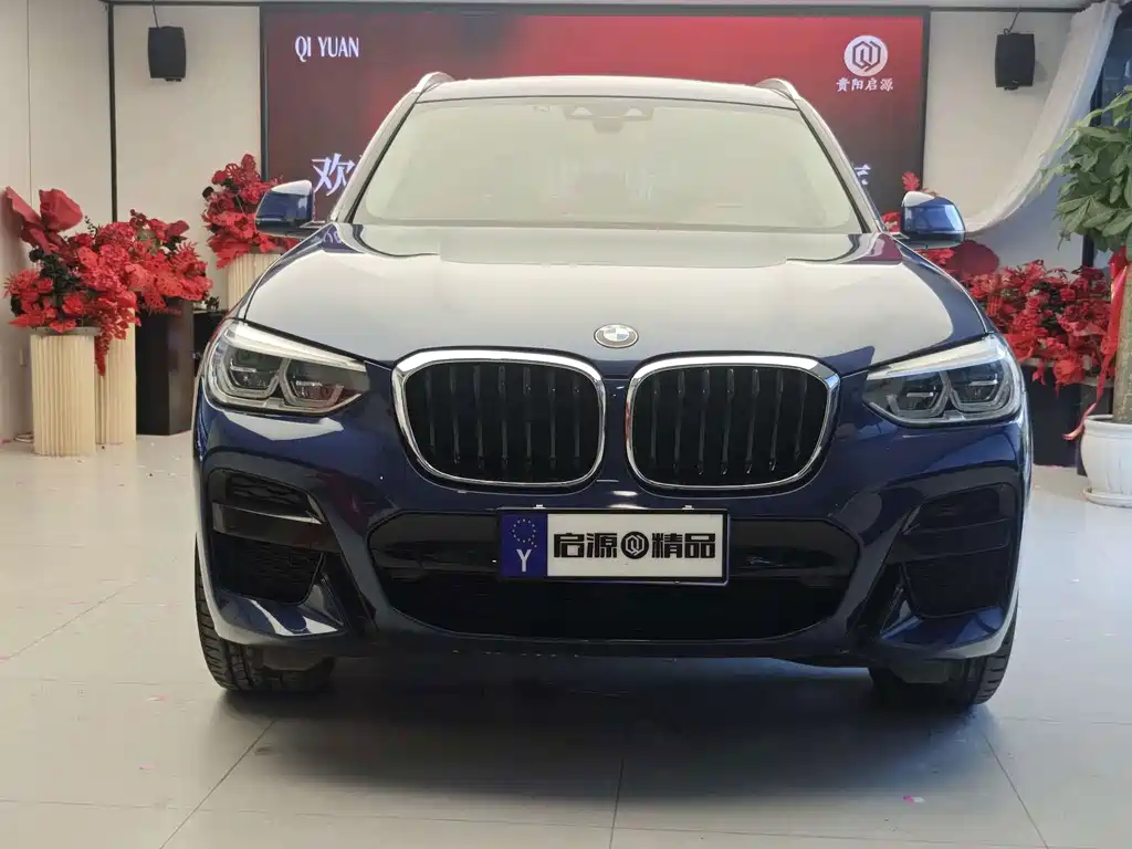 BMW X3 — миниатюра 2