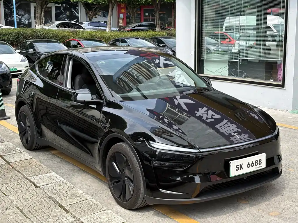 Tesla Model Y — миниатюра 3