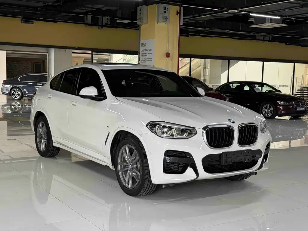 BMW X4 — миниатюра 3
