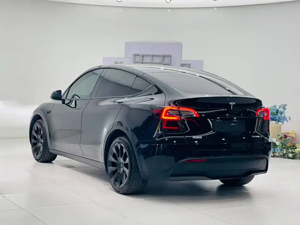 Tesla Model Y — миниатюра 17