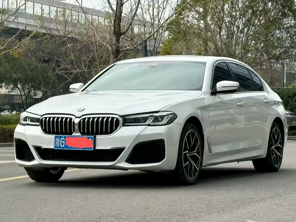 Купить BMW 5 Series