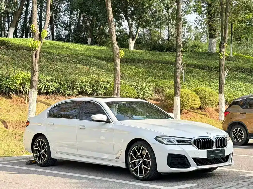 BMW 5 Series — миниатюра 3