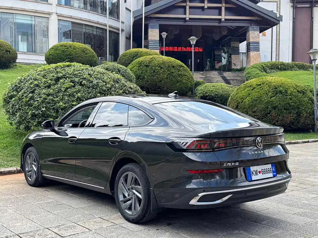 Volkswagen Lamando — миниатюра 6