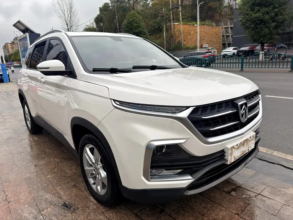 BAOJUN 530