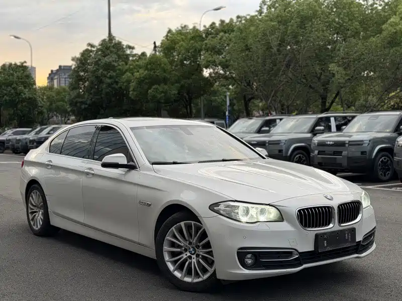 BMW 5 Series 5 2017 525Li Luxury