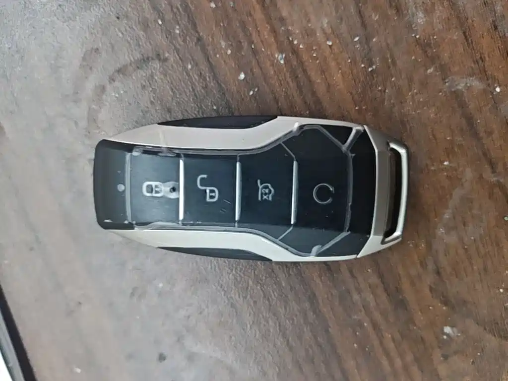 BYD PLUS New Energy — миниатюра 11