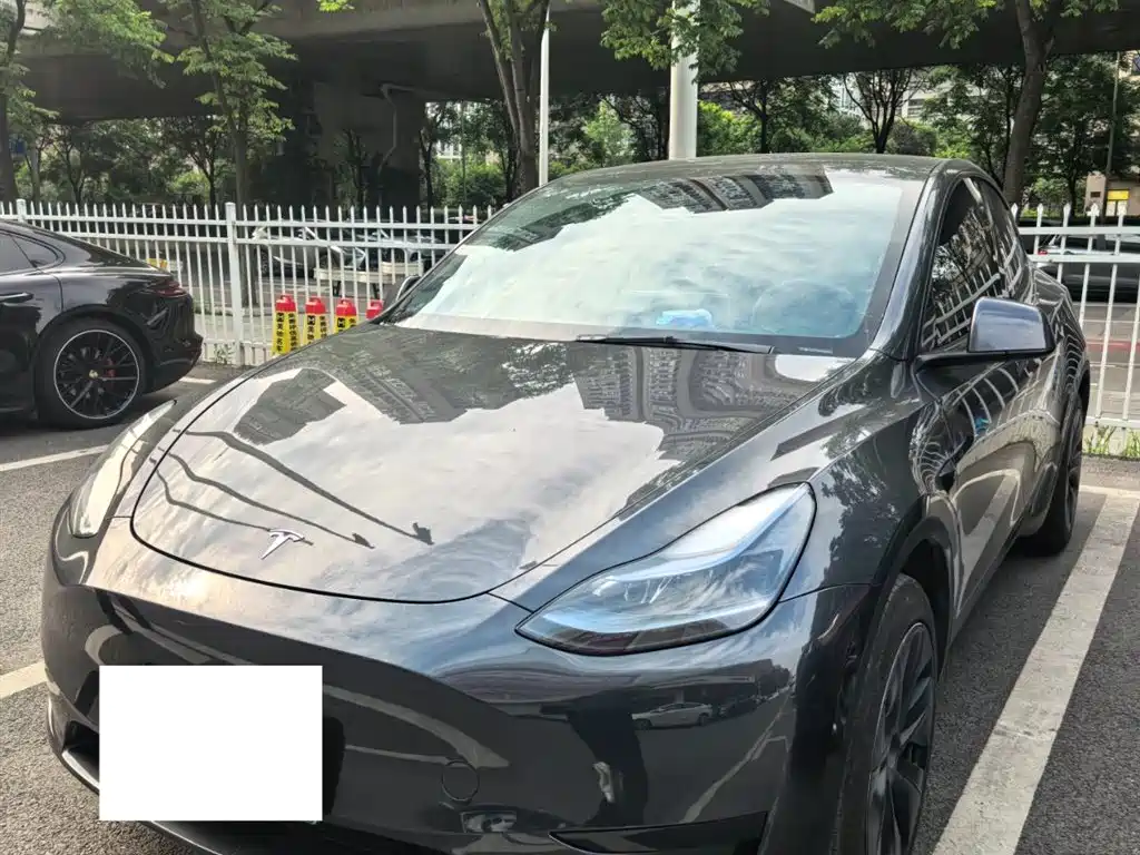 Tesla Model Y 2024 RWD Drive Dynamic Edition