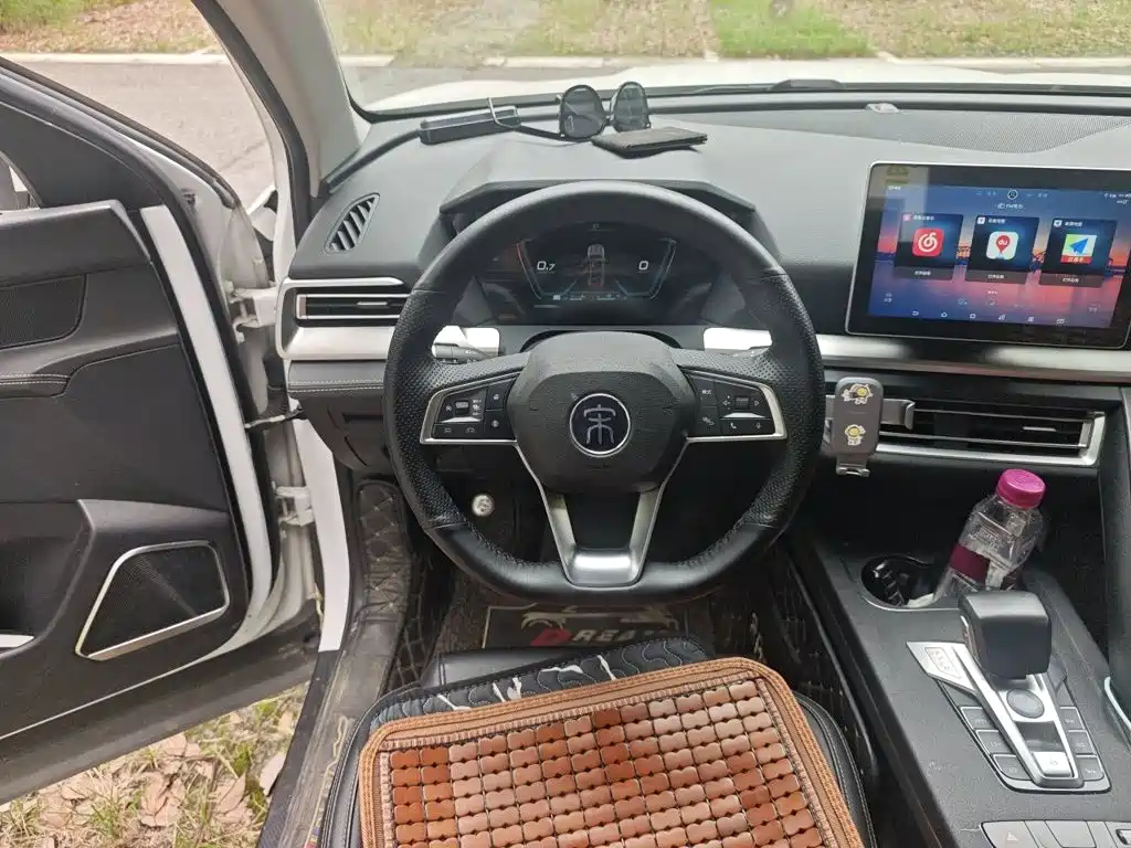 BYD Pro — миниатюра 6