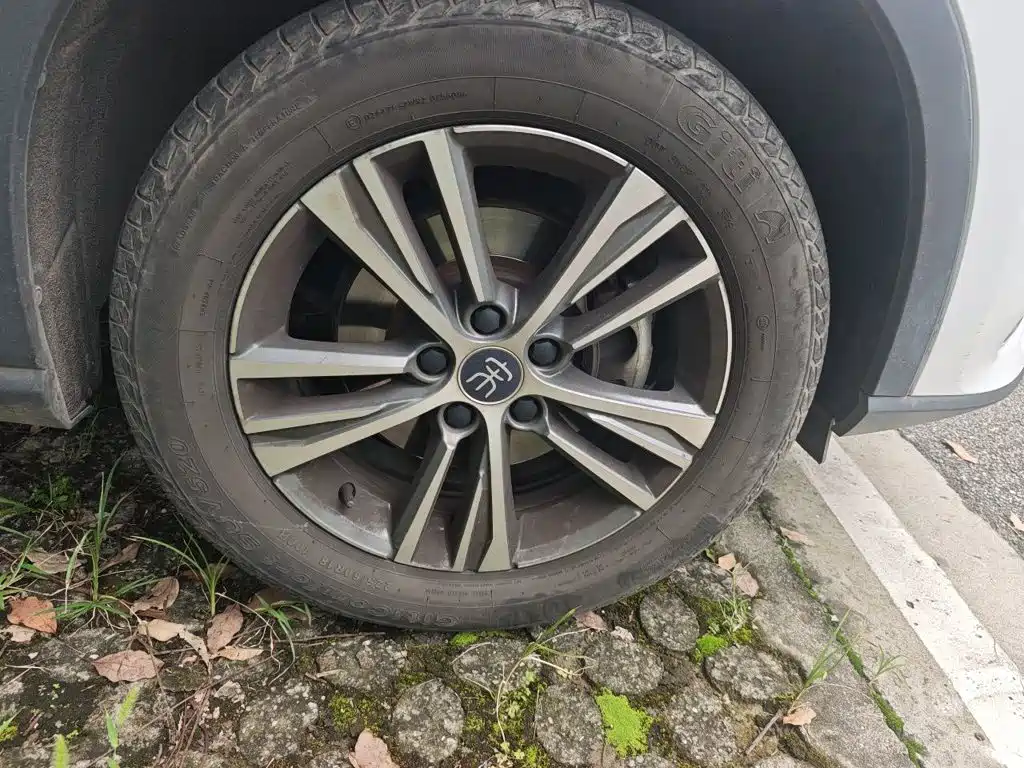 BYD Pro — миниатюра 24