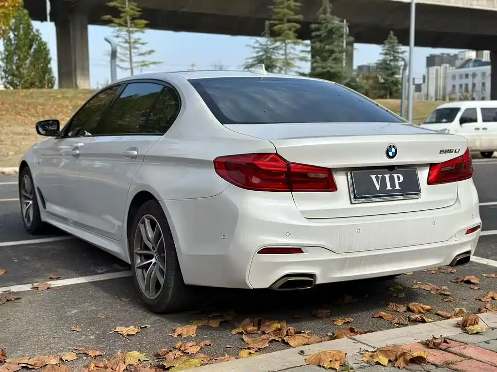 BMW 5 Series 5 2019 525Li M Sport