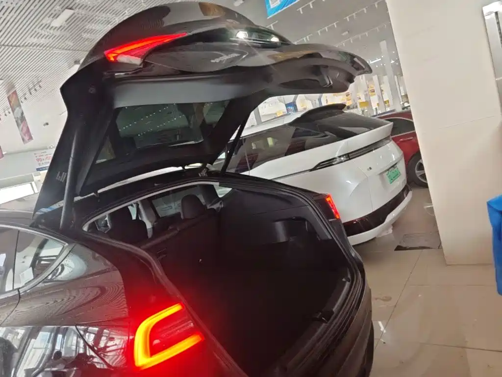 Tesla Model Y — миниатюра 19