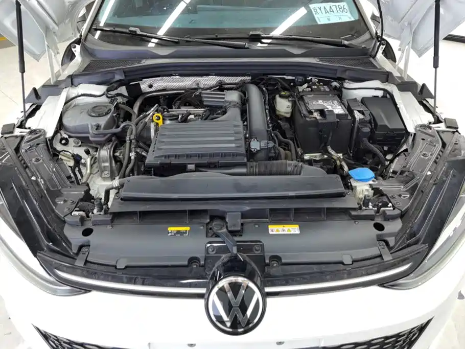 Volkswagen Lamando — миниатюра 10