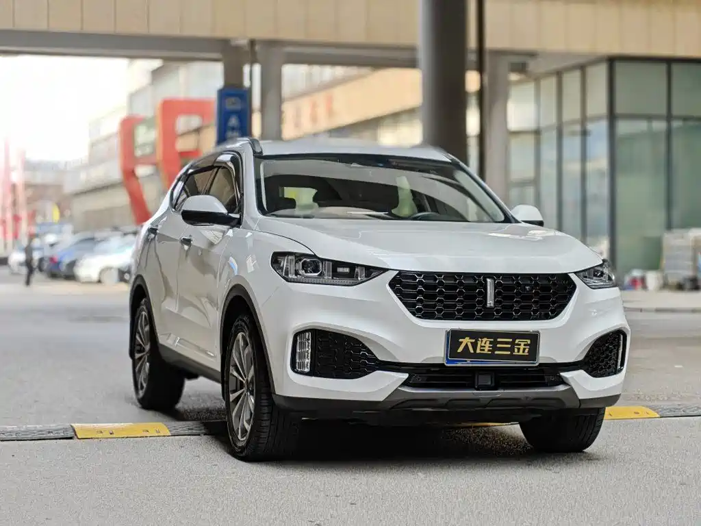 Wey Wey VV6 2019
