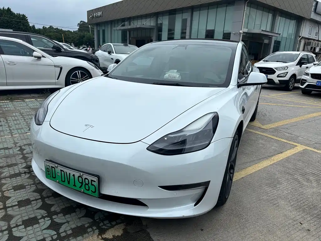 Tesla Model 3 2022