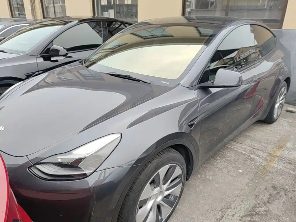 Tesla Model Y — миниатюра 2