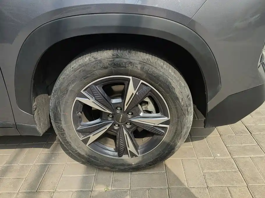 Jetour Dasheng — миниатюра 6
