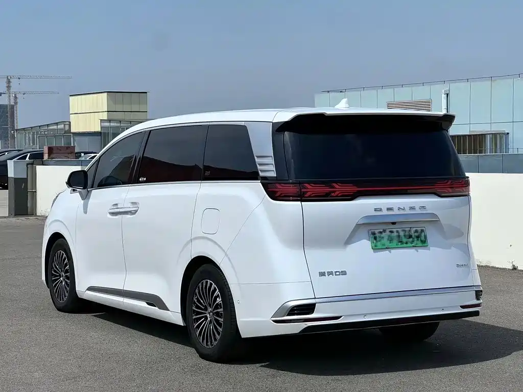 Denza Denza D9 — миниатюра 4