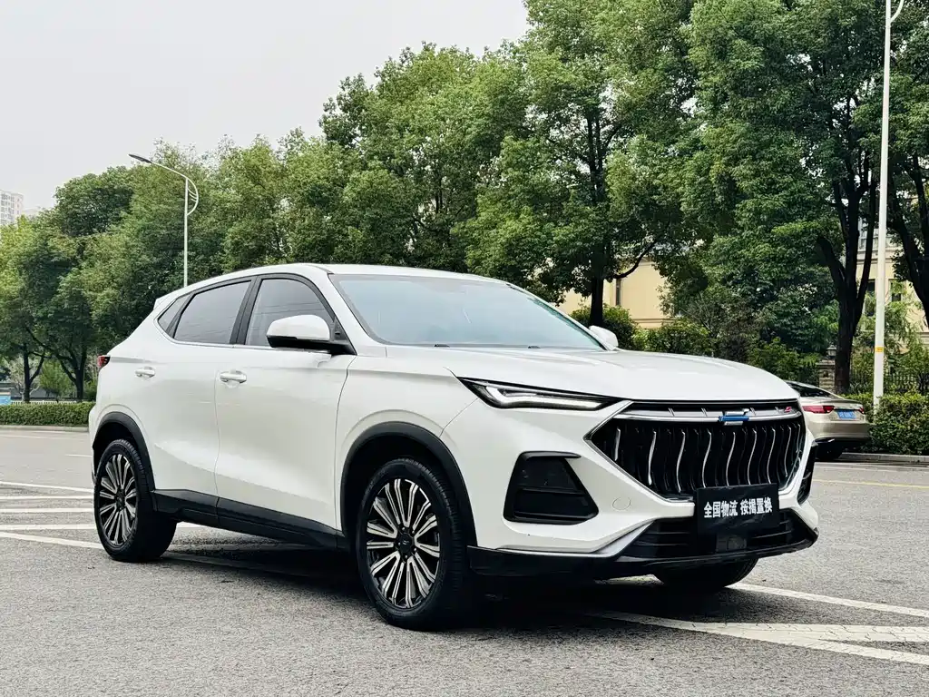 Oshan Oushang X5 — миниатюра 14