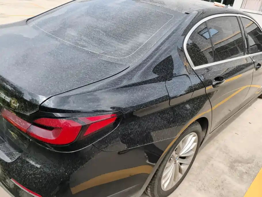BMW 5 Series — миниатюра 3