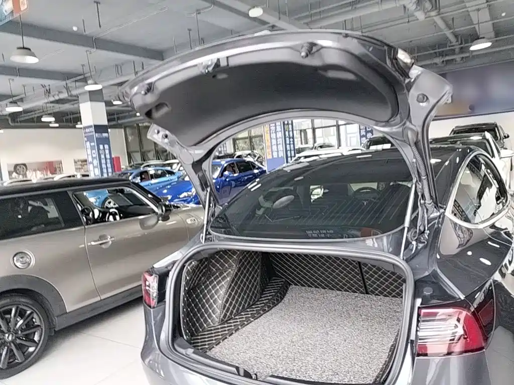 Tesla Model 3 — миниатюра 19