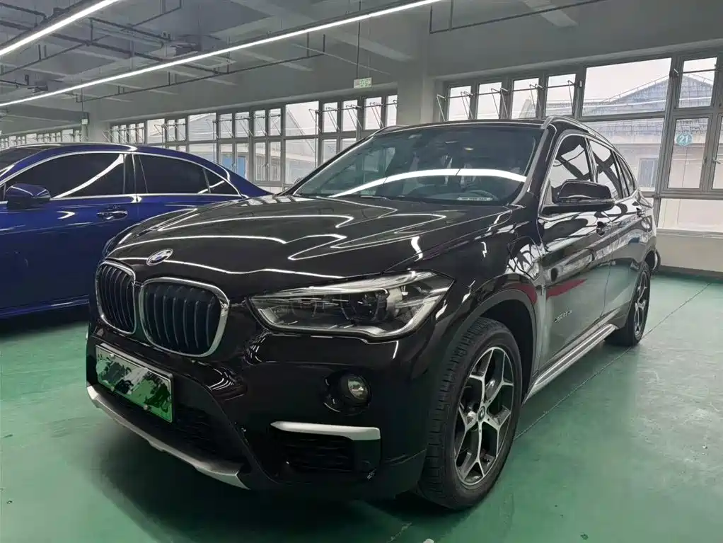 BMW X1 New Energy 2018
