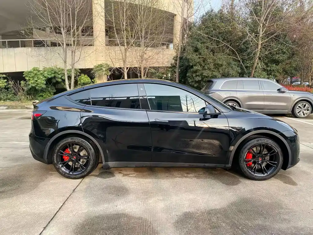 Tesla Model Y — миниатюра 7