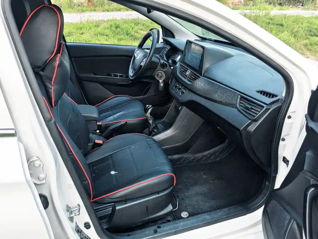 Baojun 310 — миниатюра 13