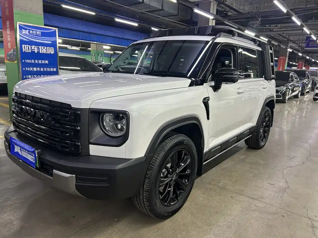 Haval Menglong New Energy 2025