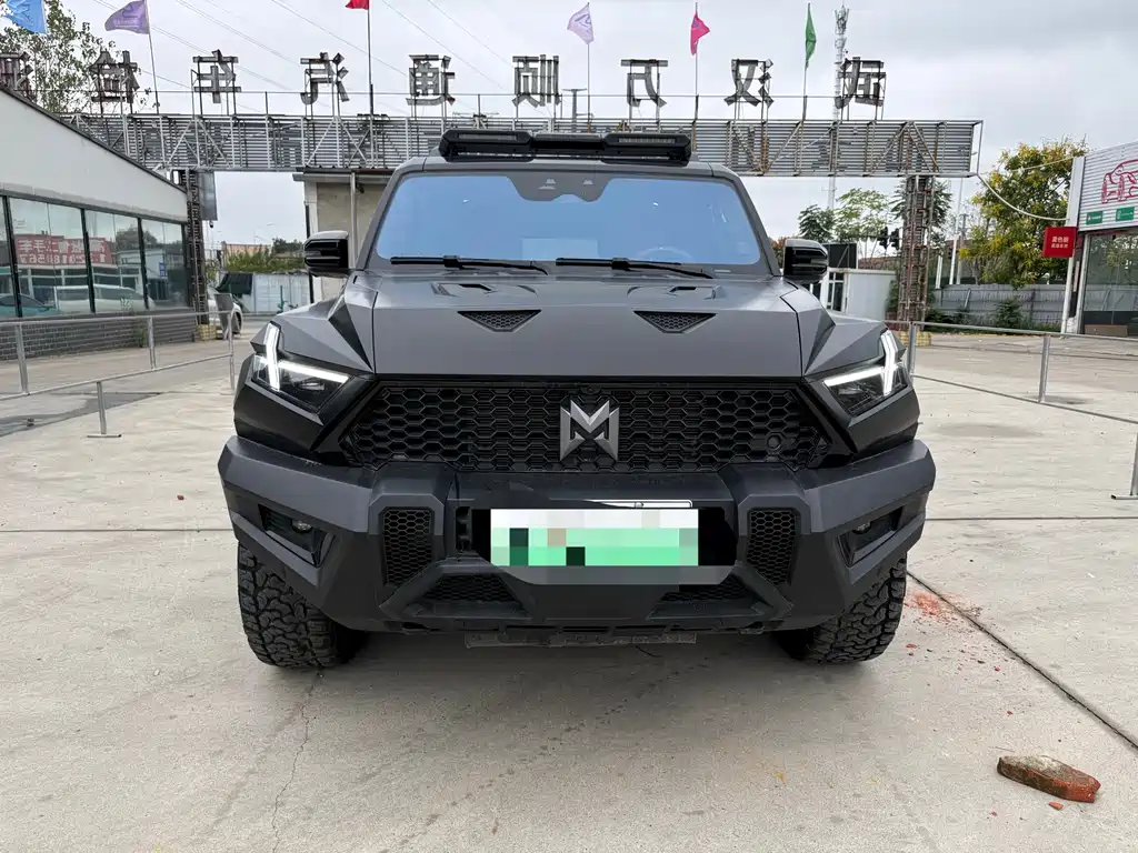 Mengshi Mengshi 917 — миниатюра 2