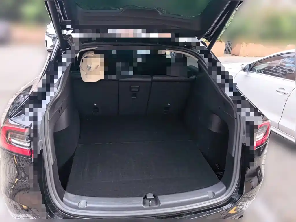 Tesla Model Y — миниатюра 20