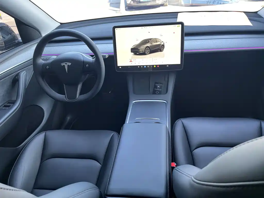 Tesla Model Y — миниатюра 10