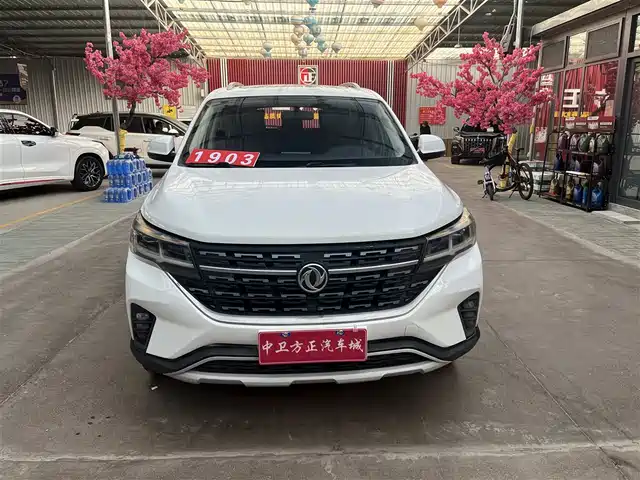 DONGFENG POPULAR T5L 2020