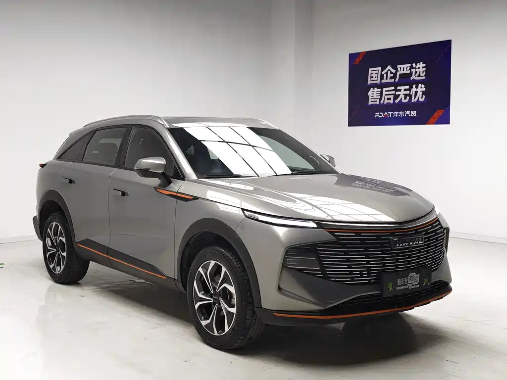 Haval Shenshou — миниатюра 3